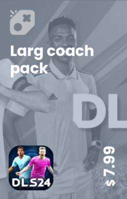 Larg coach pack