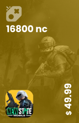 16800 انسی