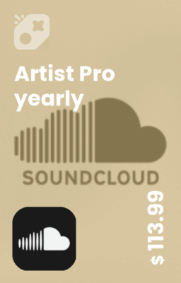 تصویر Artist Pro yearly