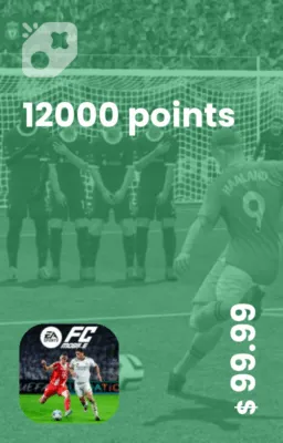 تصویر 12000FC Points