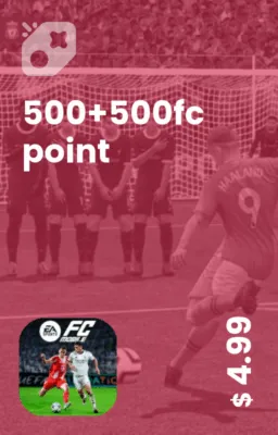 تصویر 500+500fc point
