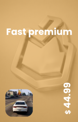 تصویر premium 90 Days فوری