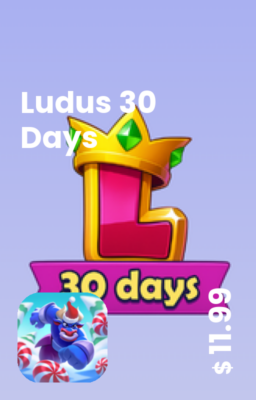 تصویر بسته 30 روزه