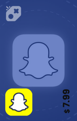 تصویر SnapChat Lens   /  monthly